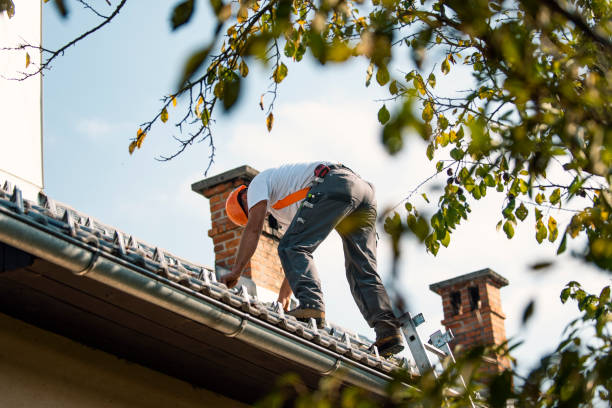 Best New Roof Installation  in Whitg, IN