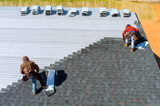 Best Roof Gutter Cleaning  in Whitg, IN